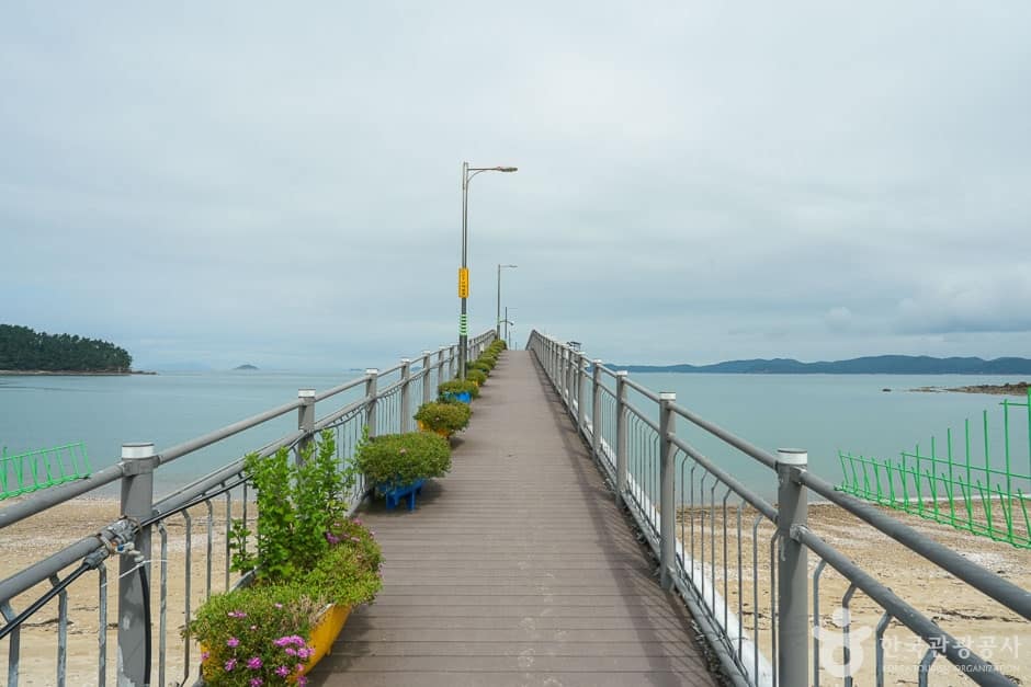 의항리 해상낚시공원 (15)