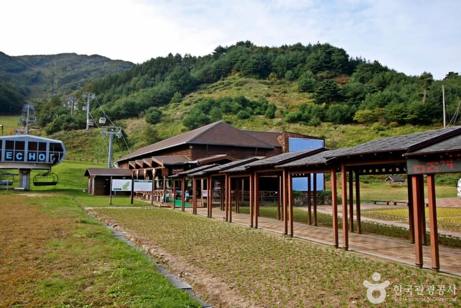 전북_무주_무주리조트 관광곤도라 (7)