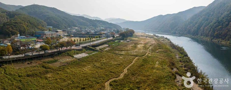 고운골 남한강갈대숲