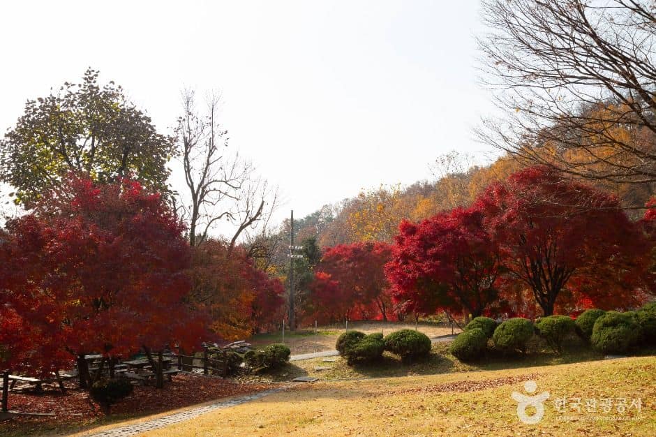 국립청주박물관 (9)