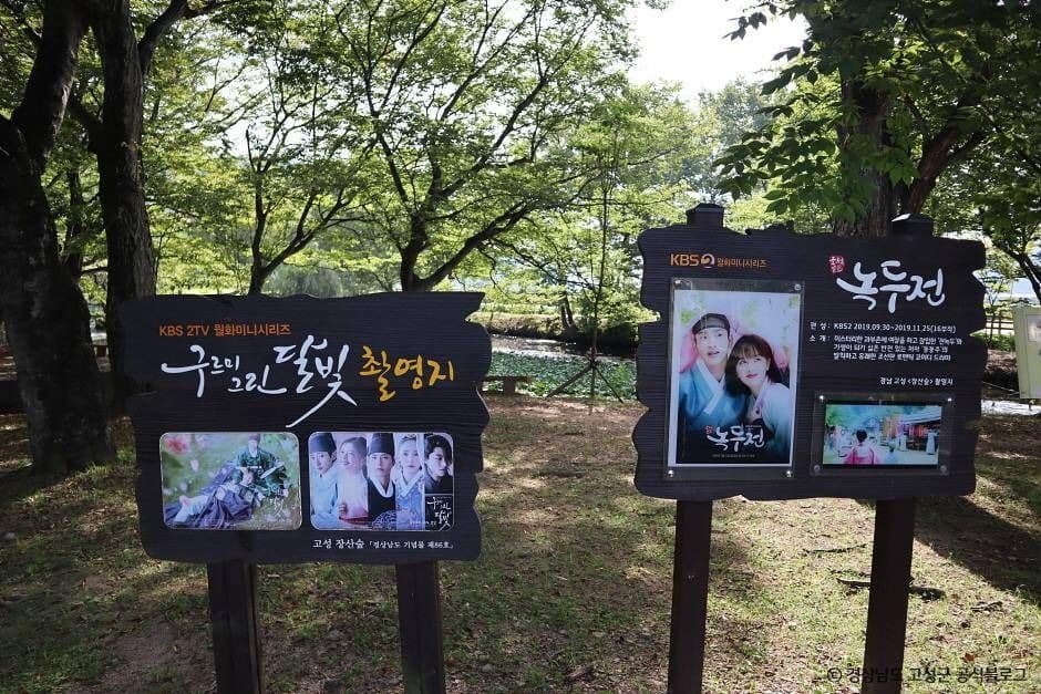 고성_장산숲 (2)