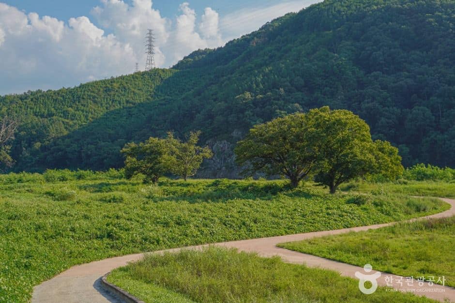 무주_내도리강변유원지 (5)