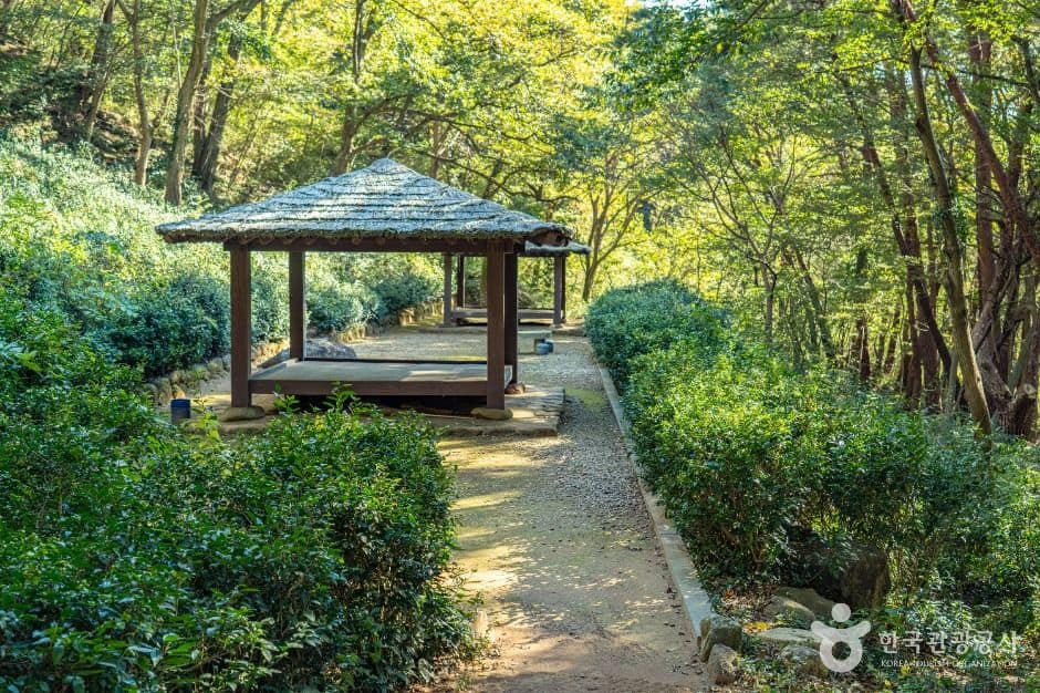 구례_구례장죽전녹차시배지 (2)