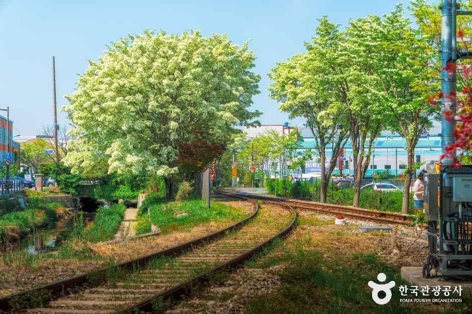 전북_전주_팔복동이팝나무철길_외부_1.jpg
