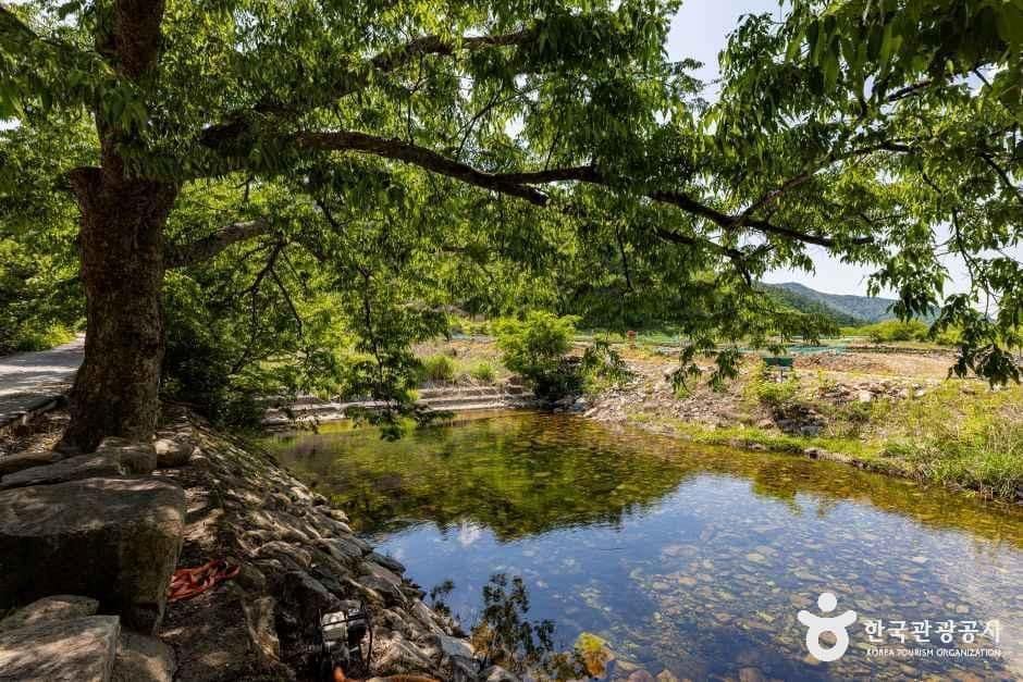 제천_제천패밀리오토캠핑장 (6).jpg