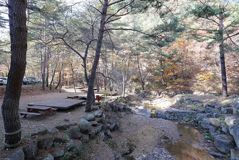 국립검마산자연휴양림_사이트1