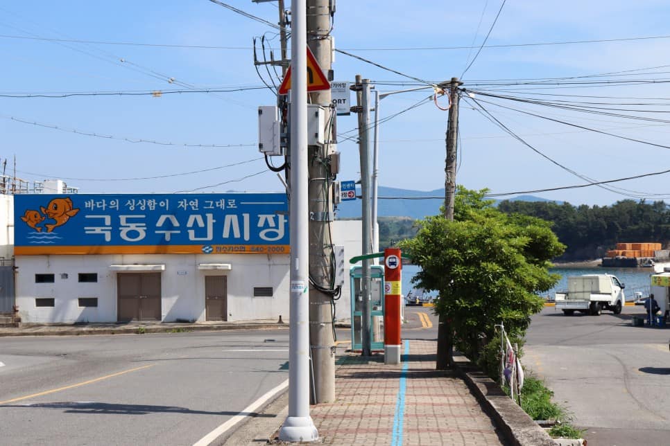 오동도-여자만자전거길_여수 도심을 가로지르는 오동도-여자만자전거길