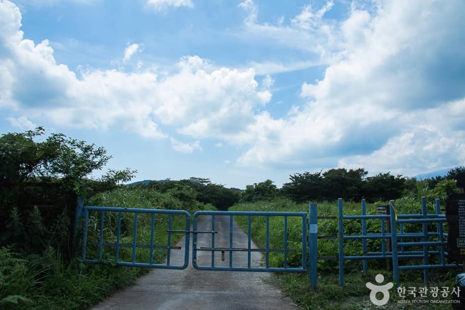 수망리 마흐니숲길 (4)
