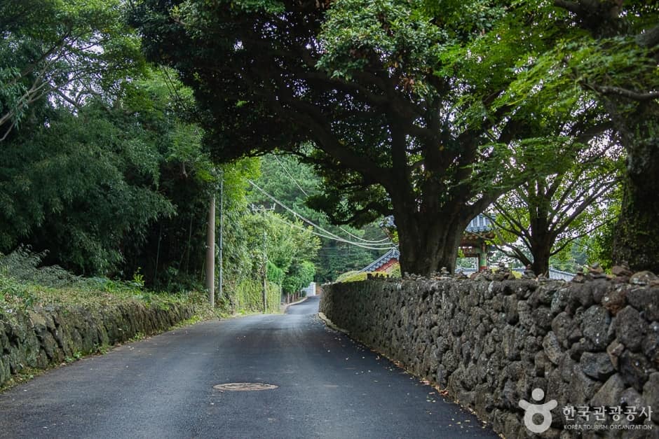 불탑사(제주) (15)