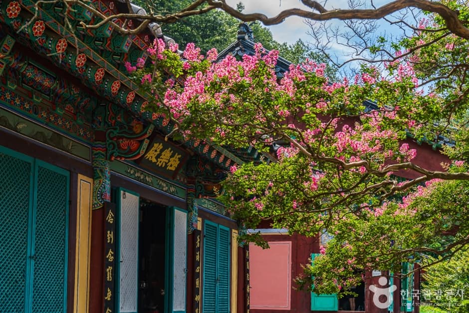 반야사 (8)