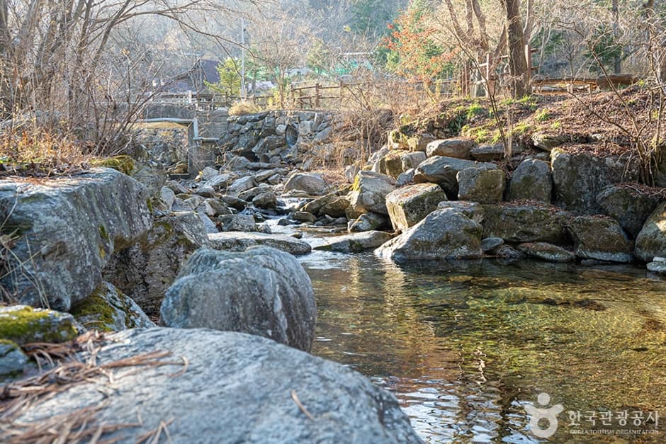 유명산계곡 (5)