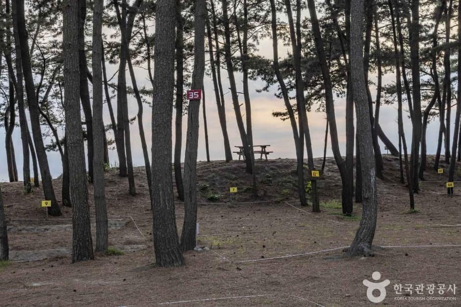 마검포해수욕장 (9)