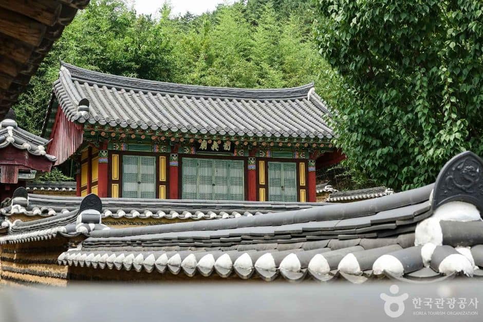 창녕_금호재 (7)