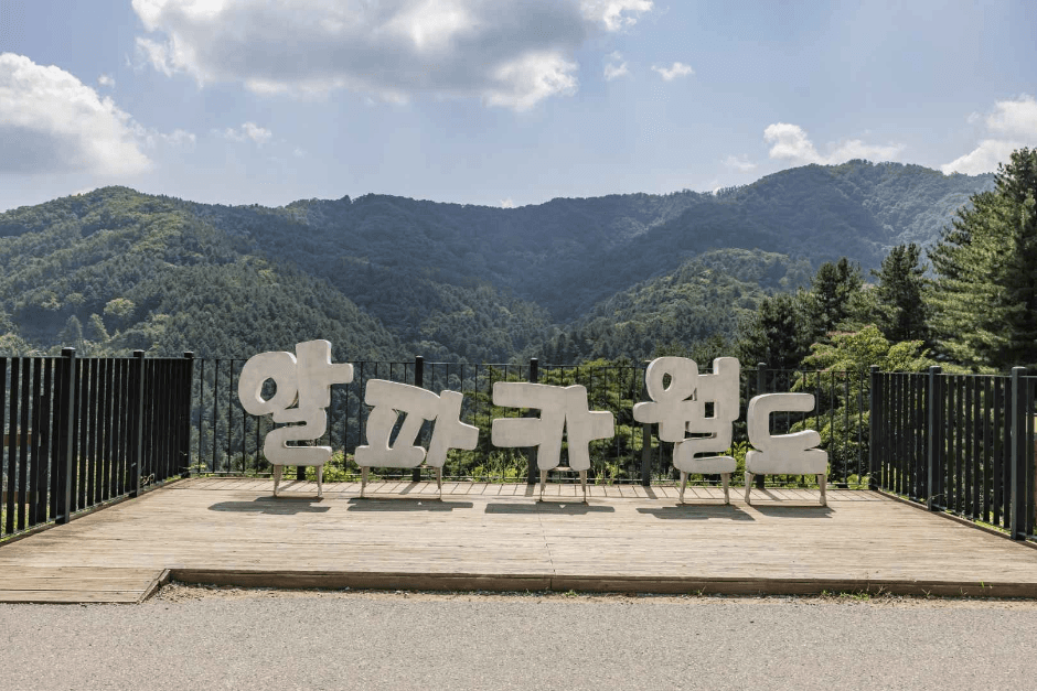 알파카월드 (1)