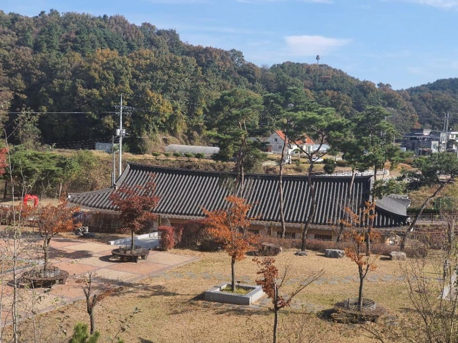 청주_미래지 농촌 테마공원 (6)