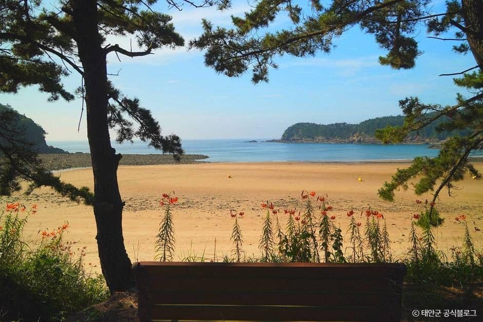 태안_구름포해수욕장 (1)