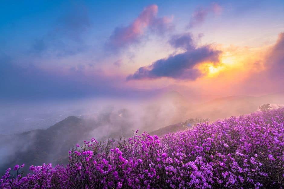 창원_천주산 (1)