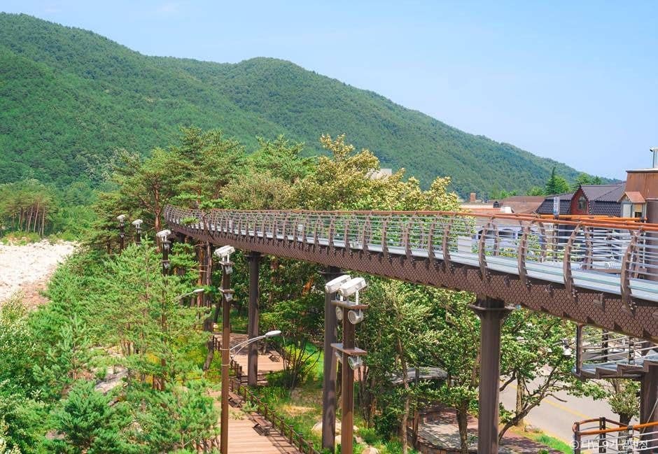 속초 여행 가볼만한곳 강원도 여름휴가 추천_설악향기로_1-8