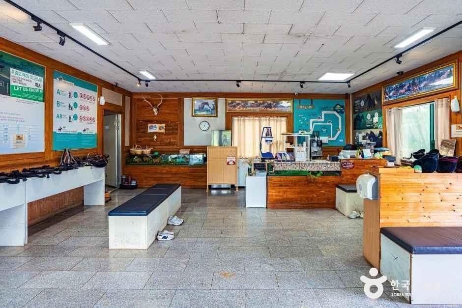 제주_어승생승마장 (5).jpg