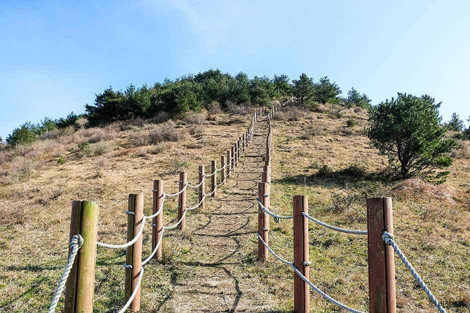 제주_동거문오름 (2).jpg