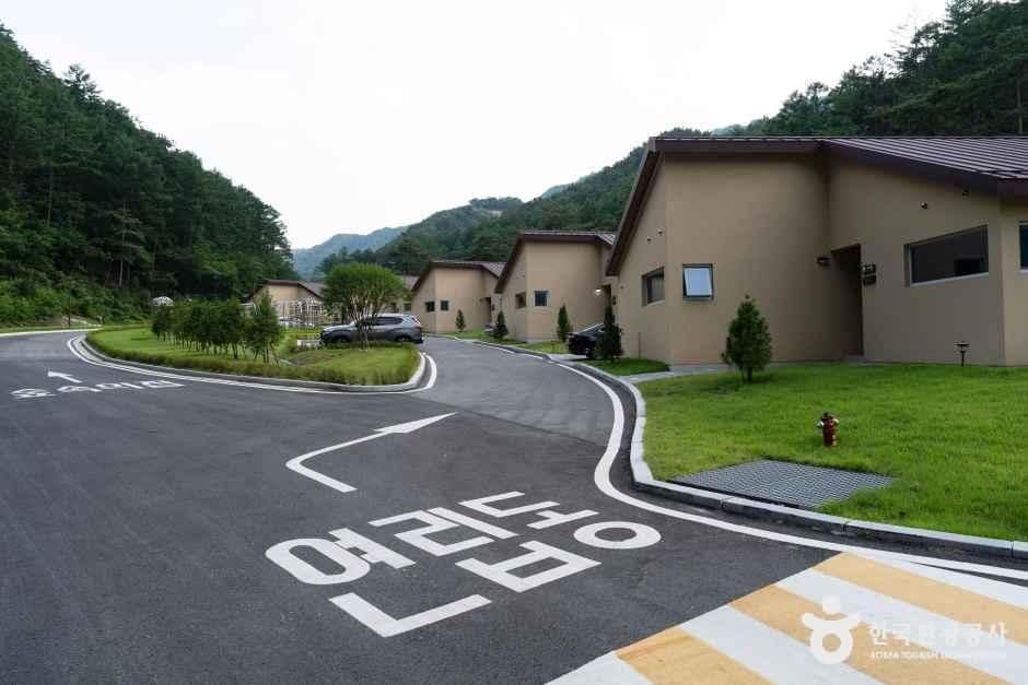 충남_금산_국립금산자연휴양림_외부_1.jpg