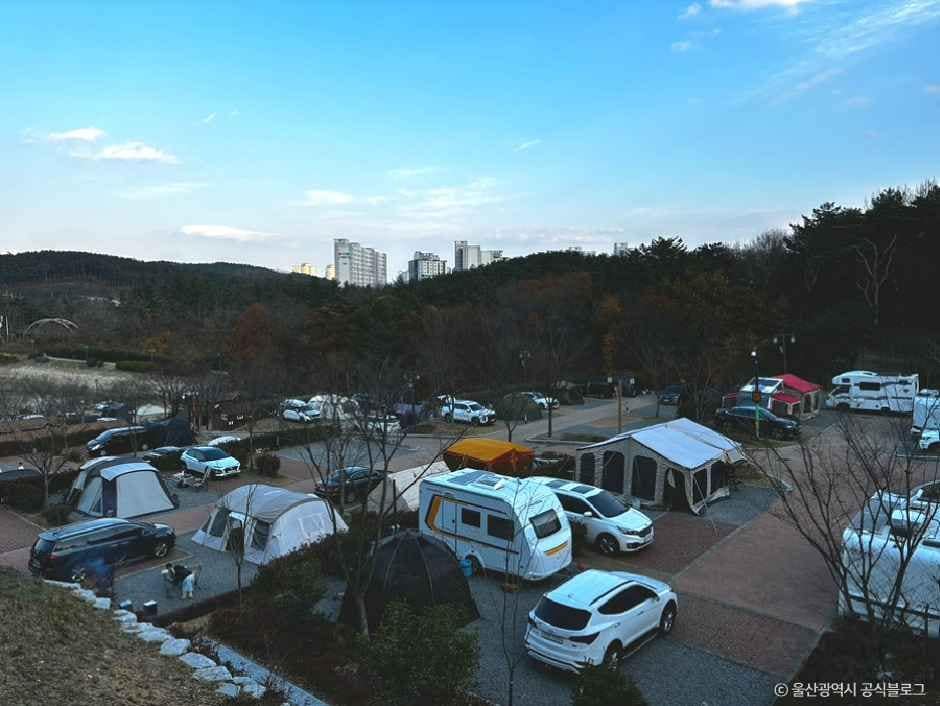 울산_태화연오토캠핑장 (5).jpg