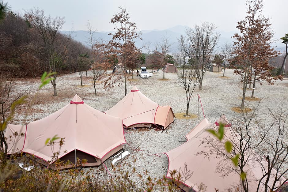 용인단풍숲캠핑장_전경