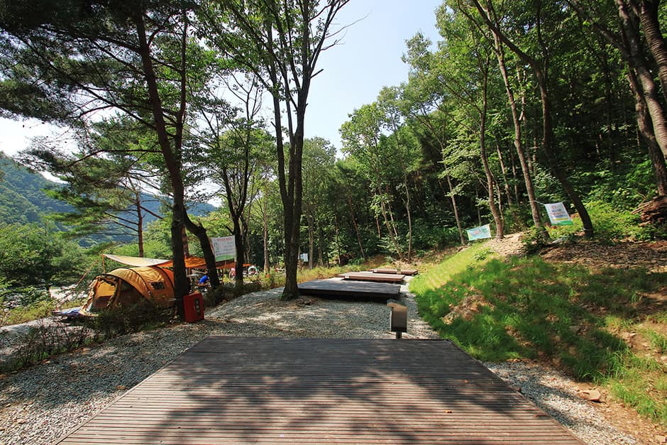 용현자연휴양림 야영장 사진 2