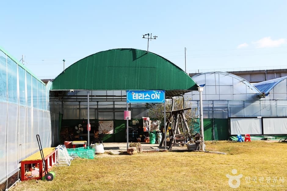 경남_김해_김해가야딸기테마파크 (2)
