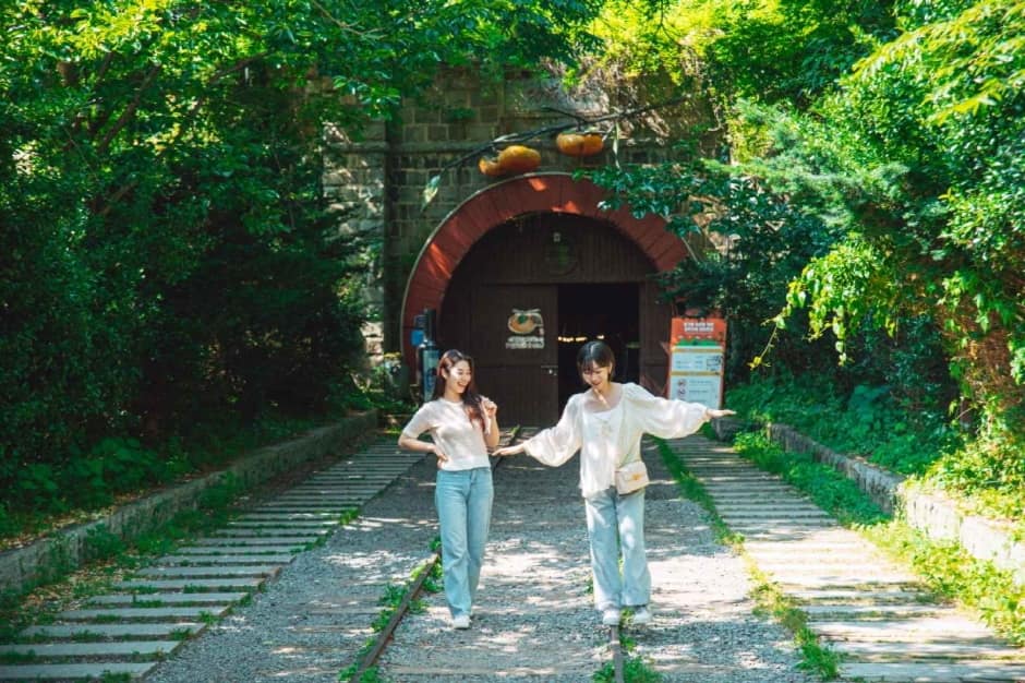 경북_청도_청도 와인터널 (2)