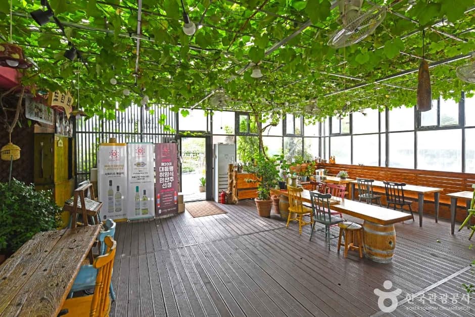 도란원 샤토미소 (2)