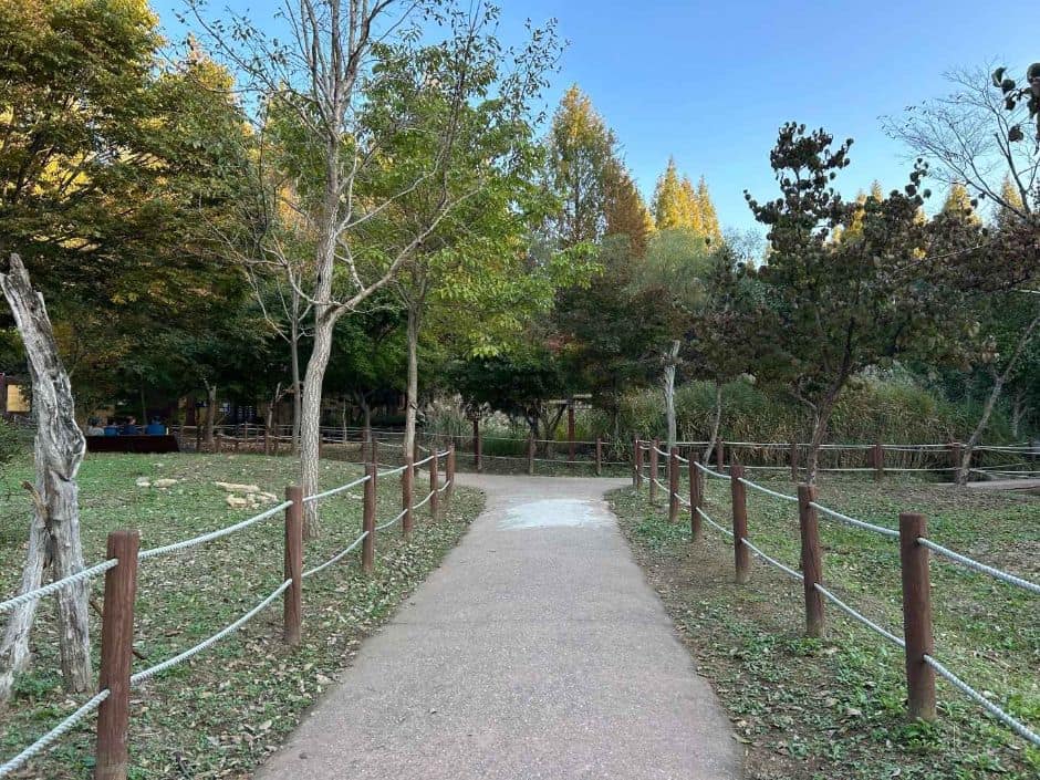 인천대공원치유숲길_무장애 나눔길