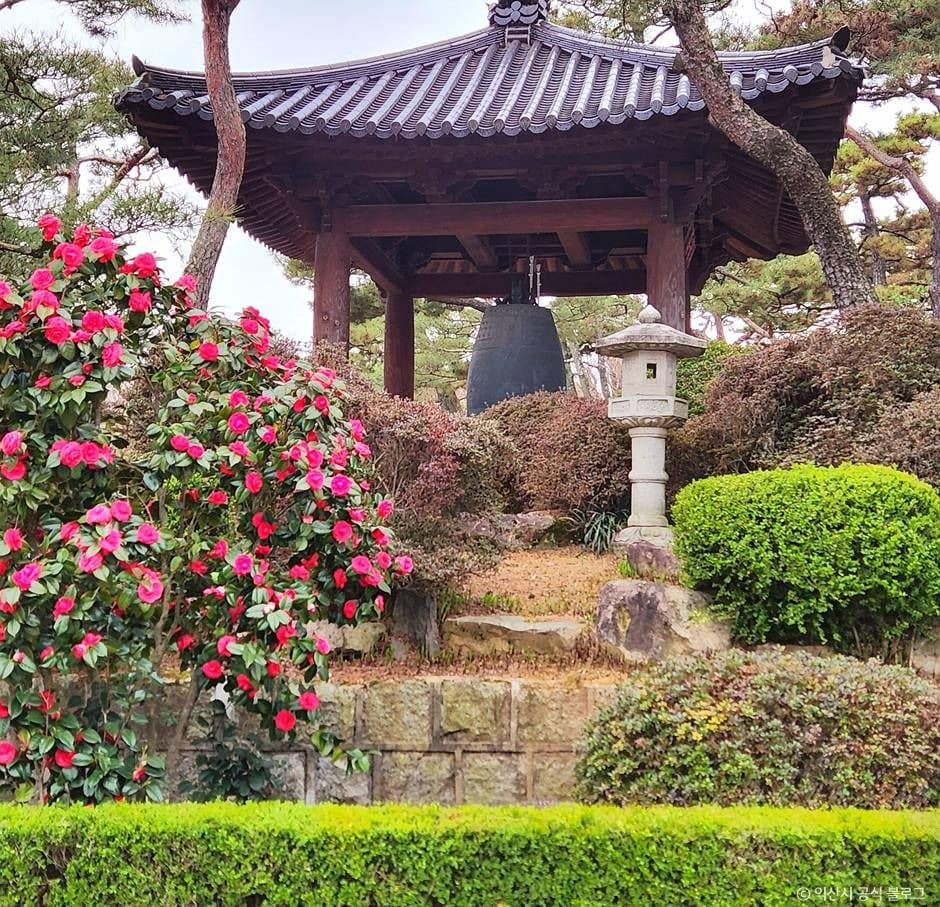 익산_원불교중앙총부 (3)