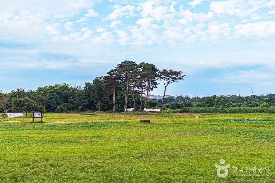 광주_황룡친수공원 (3)