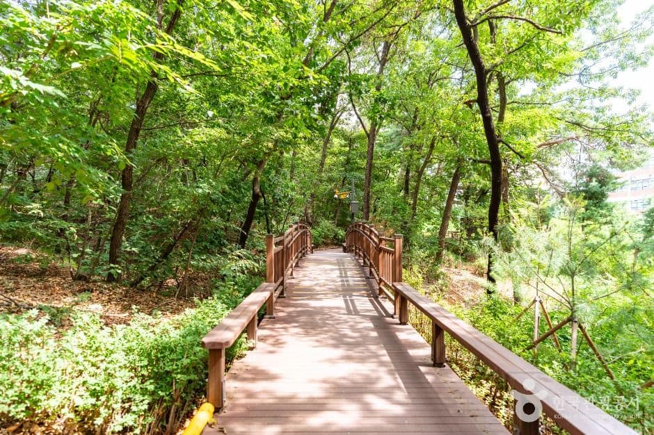 서울_오금공원 (5)