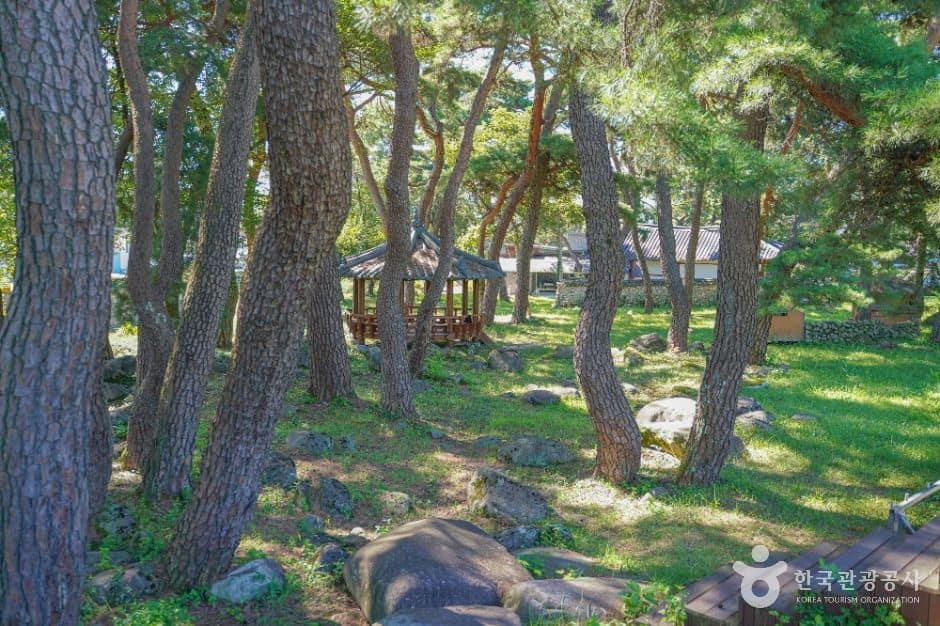 함양_함양 물레방아떡마을 (1)
