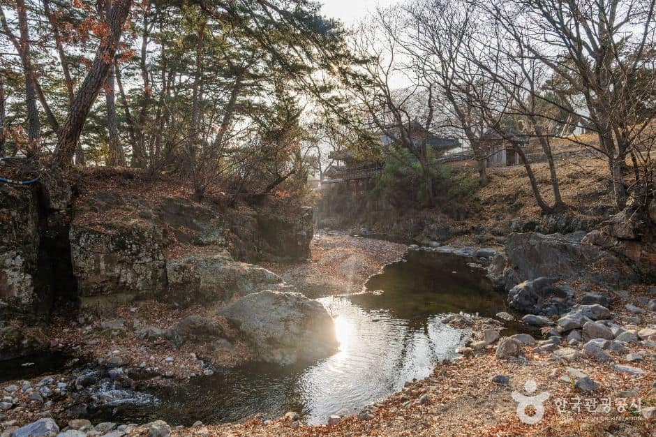 포항_포항 덕동문화마을 (8)