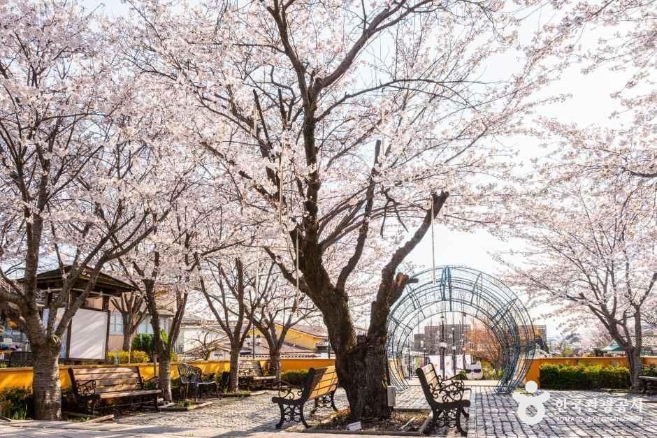 경기_파주_프로방스 마을_2.jpg