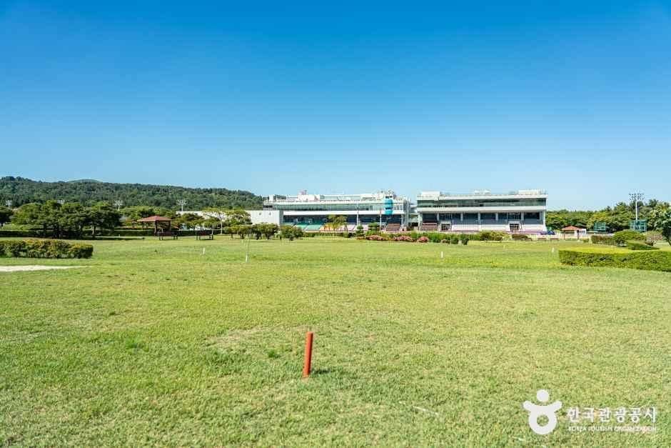 제주_말 테마파크 골프장 (렛츠런파크 제주) (5).jpg