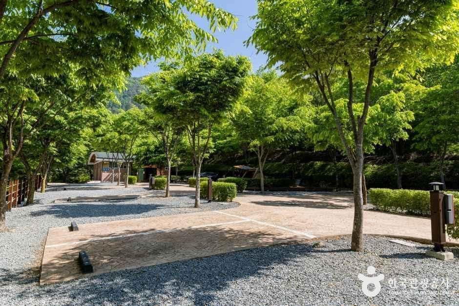단양_천동관광지 (6).jpg