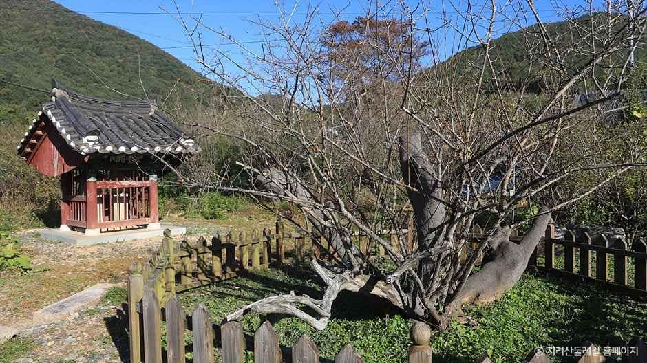 산청_[지리산둘레길] 성심원-어천-운리 (6).jpg