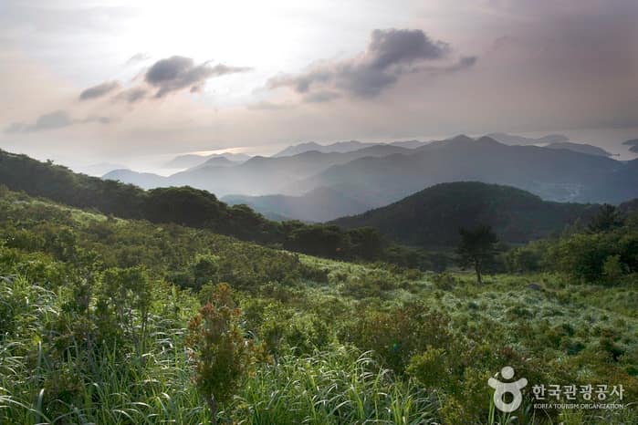 대금산_04