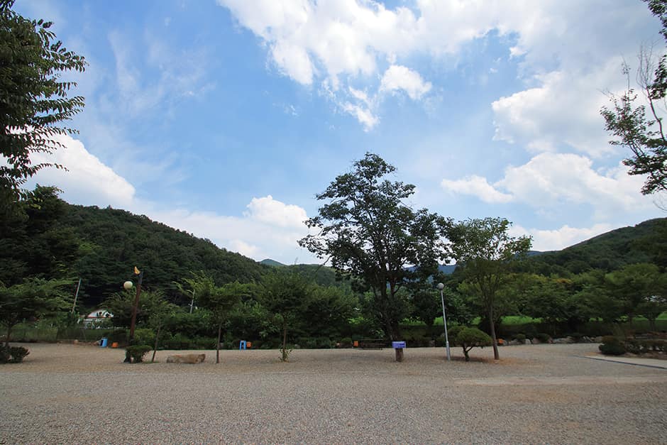 강당골캠핑파크_사이트전경