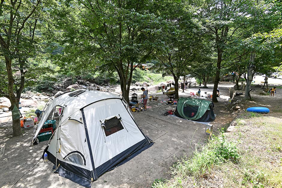 지리산내원자동차야영장 텐트