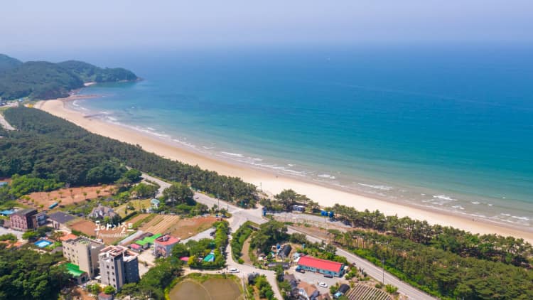 충남_태안_동아리조트_풍경1