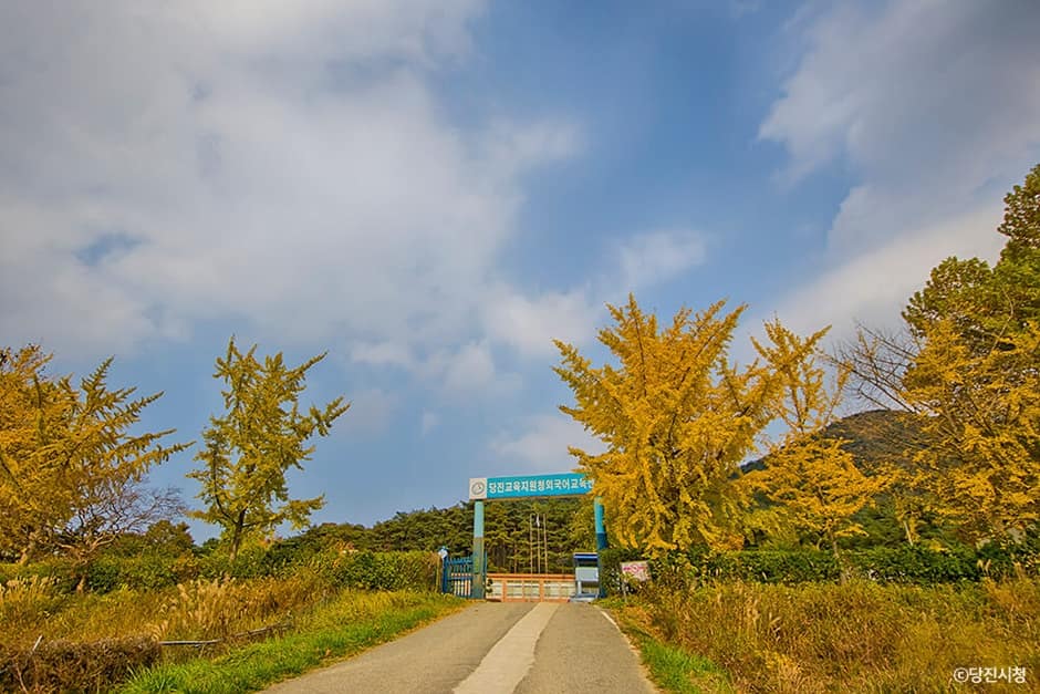 아미산_2