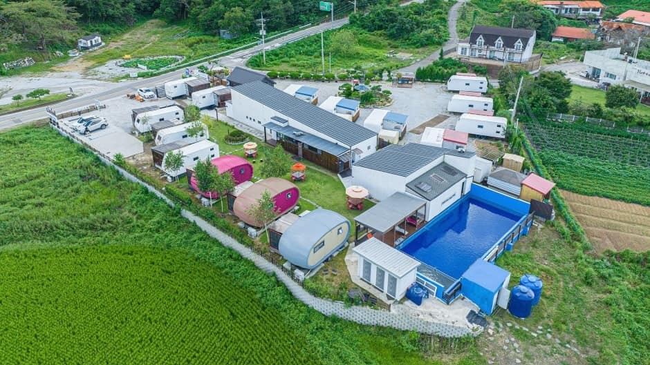 민머루잼머 (2)
