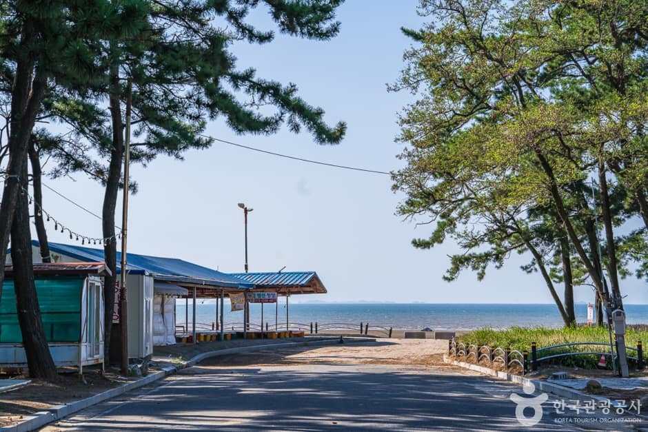 춘장대해수욕장 (15)