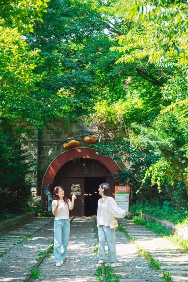 경북_청도_청도 와인터널 (3)