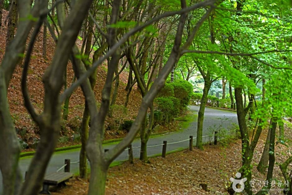 봉학골산림욕장 (4)